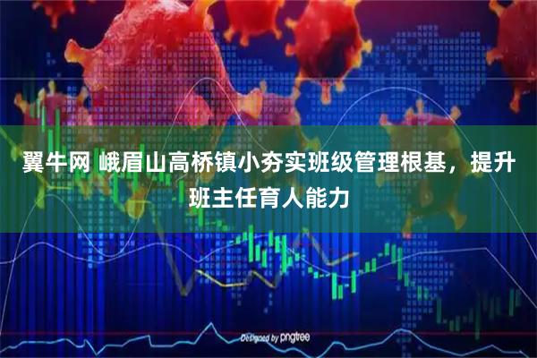 翼牛网 峨眉山高桥镇小夯实班级管理根基，提升班主任育人能力