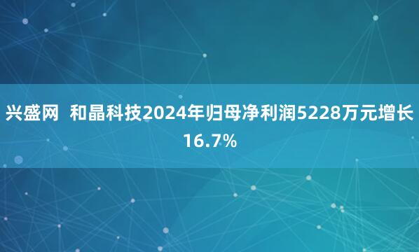 兴盛网  和晶科技2024年归母净利润5228万元增长16.7%
