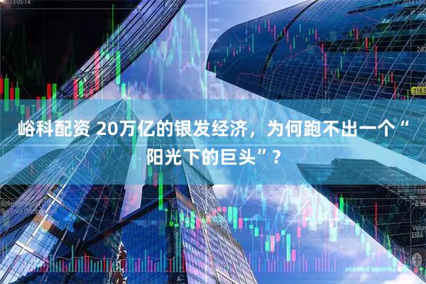 峪科配资 20万亿的银发经济，为何跑不出一个“阳光下的巨头”？
