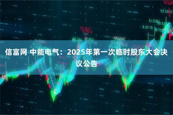 信富网 中能电气：2025年第一次临时股东大会决议公告