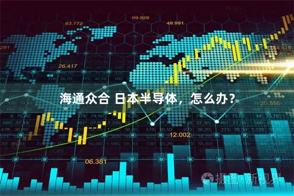 海通众合 日本半导体，怎么办？