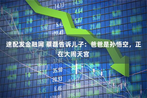 速配发金融网 蔡磊告诉儿子:爸爸是孙悟空,正在大闹天宫