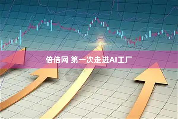倍倍网 第一次走进AI工厂